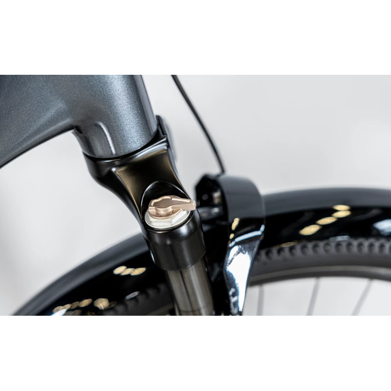 Trek ALLANT+ 6 LOWSTEP 545WH 2023 5 Trek ALLANT+ 6 LOWSTEP 545WH 2023 – Image 3