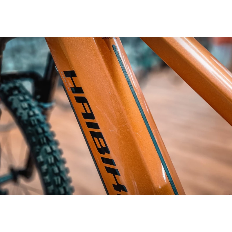 Haibike ALLMTN CF6 2022 Reconditionné T.M 8 Haibike ALLMTN CF6 2022 Reconditionné T.M – Image 6